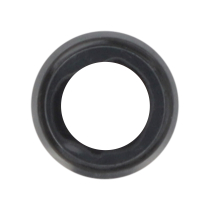Rear Camera Lens Black iPhone 6S