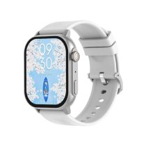 DEVIA Smart Watch Pro2 (Silver) (ZL94)