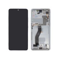 Complete Screen Silver Galaxy S21 Ultra 5G (G998B)