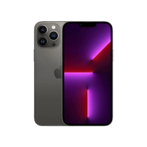 iPhone 13 Pro Max 256GB (Faulty Frame + Face ID + Front Camera + Rear Cameras) (Margin VAT)